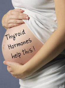 Thyroid hormones help pregnancy
